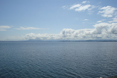 f0007926_10524864.jpg