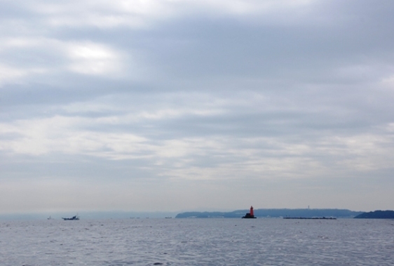 f0095128_06690.jpg