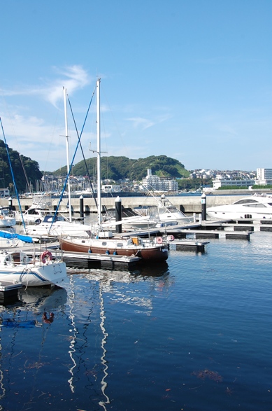 f0095128_125147.jpg
