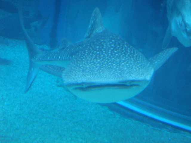 b0130631_20371367.jpg