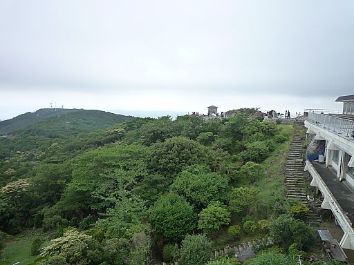 a0045636_1742233.jpg