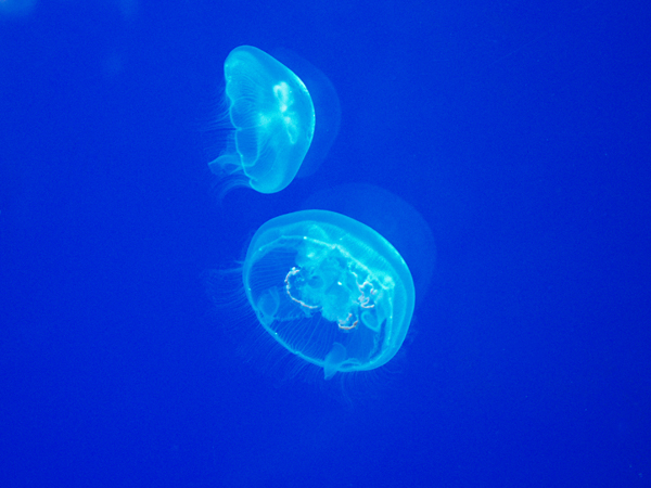 c0162536_10504420.jpg