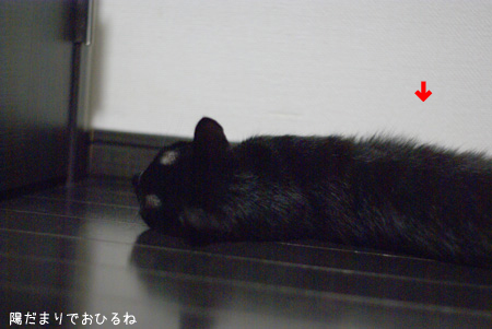 c0132438_2314165.jpg