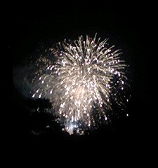 d0020139_1022490.jpg