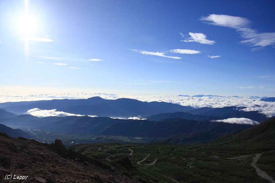 d0135242_21415969.jpg