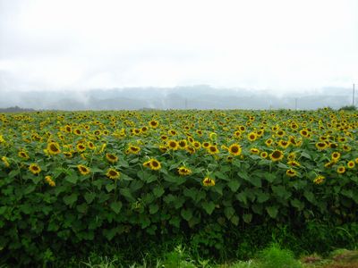 b0148945_23252357.jpg
