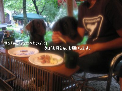 b0148945_23303513.jpg