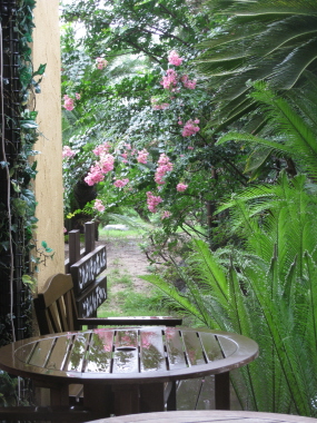 c0145449_2350283.jpg