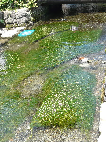 e0017051_7543196.jpg