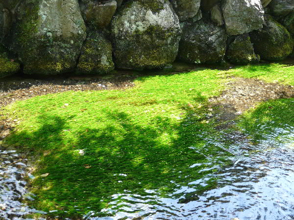 e0017051_755734.jpg