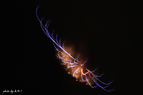 b0132755_356030.jpg