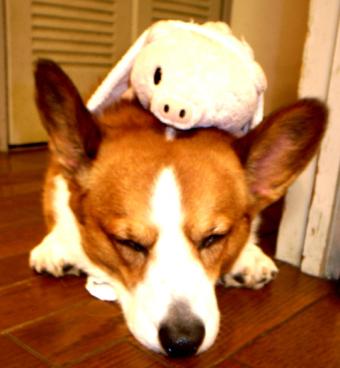 c0050857_1246434.jpg