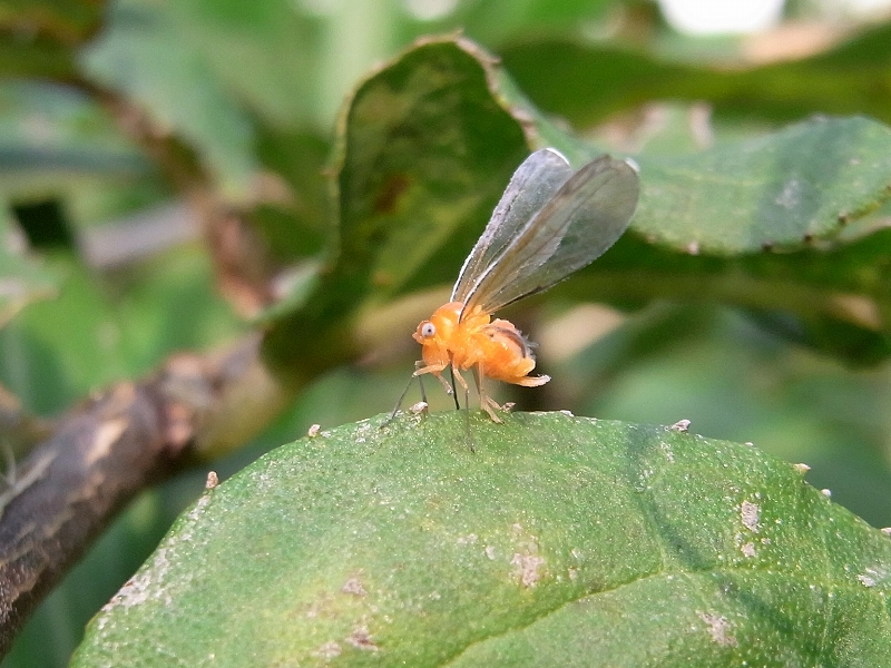 c0142963_23302322.jpg