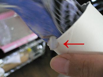 f0196665_13895.jpg