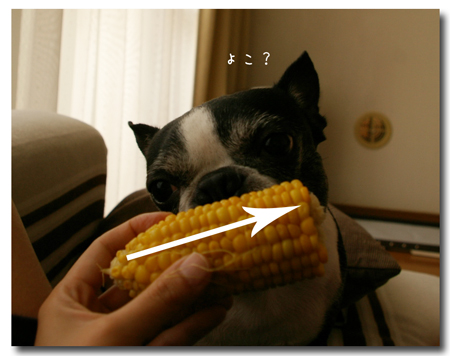 c0032567_11445674.jpg
