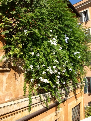 c0102268_22285497.jpg