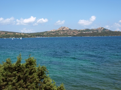 c0102268_8573778.jpg