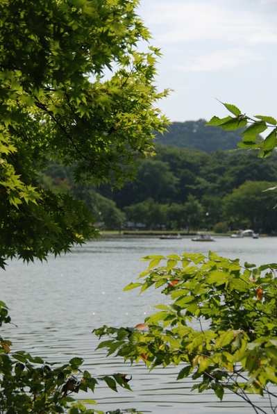 f0065768_23462092.jpg