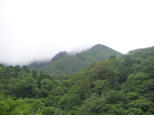 b0175571_22422460.jpg
