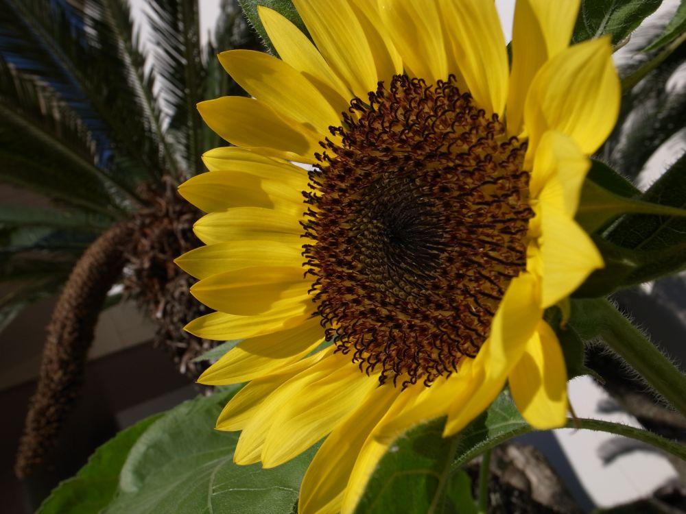 c0132571_2339136.jpg