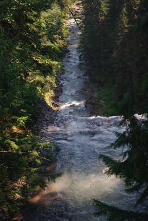 a0100975_13122942.jpg