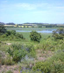 b0138478_20472315.jpg