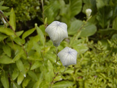 c0131478_0145661.jpg