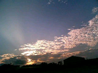 c0046979_2264039.jpg