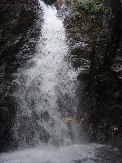d0079579_4465147.jpg
