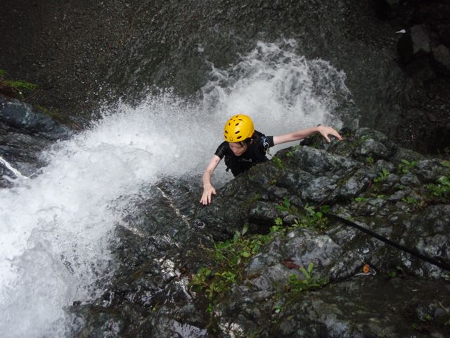 d0079579_447114.jpg