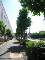 f0053885_5171195.jpg