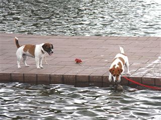 e0121589_21185239.jpg