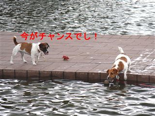 e0121589_2119877.jpg