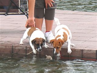 e0121589_2120643.jpg