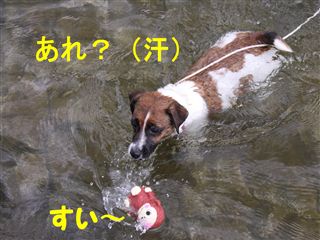 e0121589_21271755.jpg