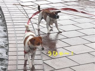 e0121589_21323122.jpg