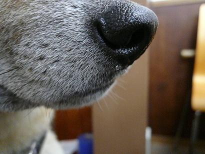 c0123890_21405440.jpg