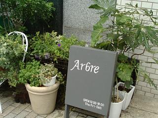 d0143192_119164.jpg