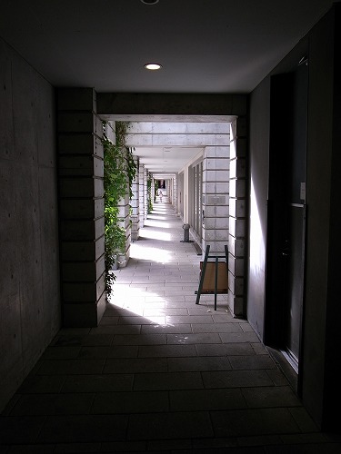 b0119493_423549.jpg