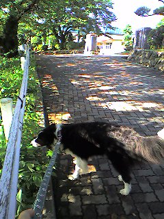 a0065800_2051397.jpg