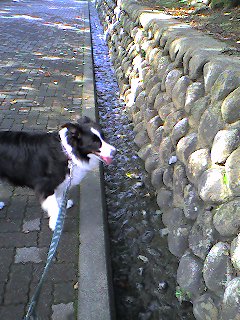 a0065800_2053385.jpg