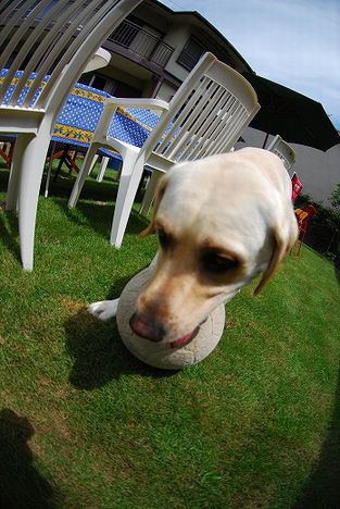 d0091700_2210135.jpg