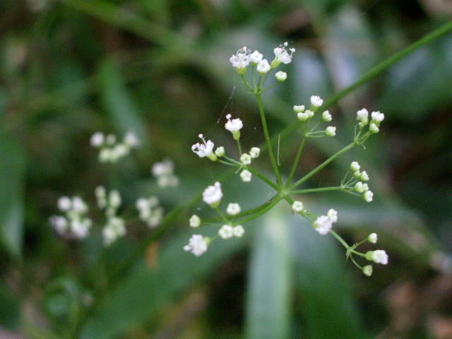 e0025300_14505147.jpg