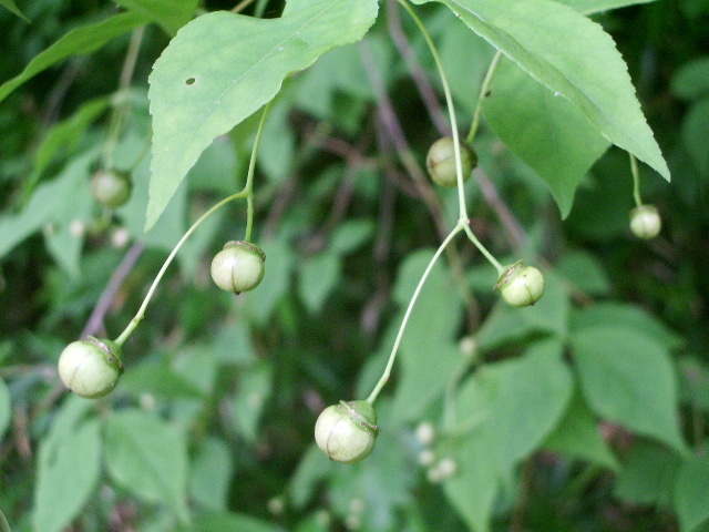 e0025300_14561383.jpg