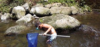 f0196800_17122710.jpg