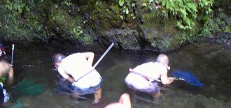 f0196800_1712773.jpg