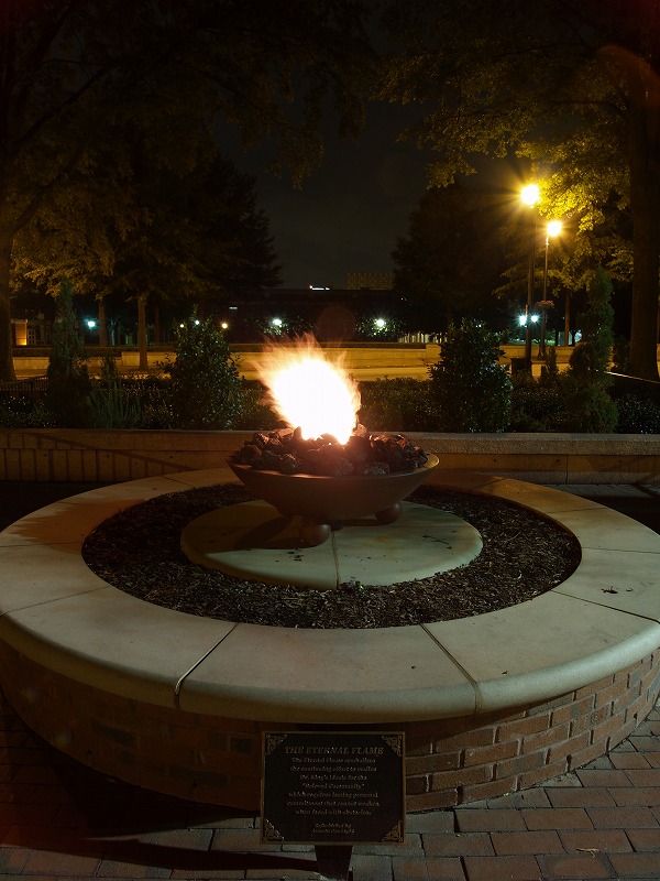 e0192702_1712504.jpg