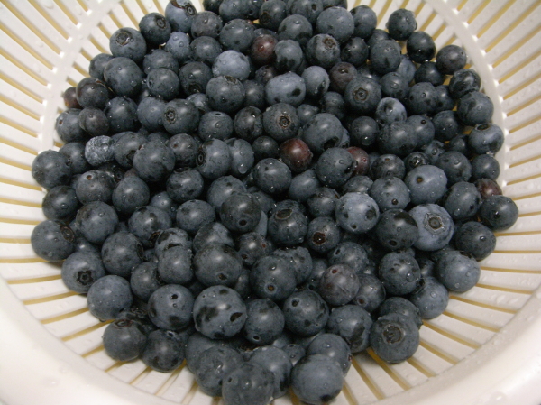 a0058605_13352067.jpg