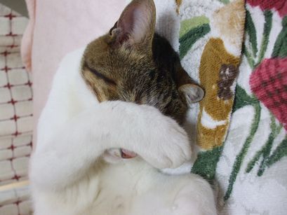 c0103205_20125179.jpg