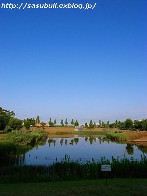 e0145805_17362764.jpg